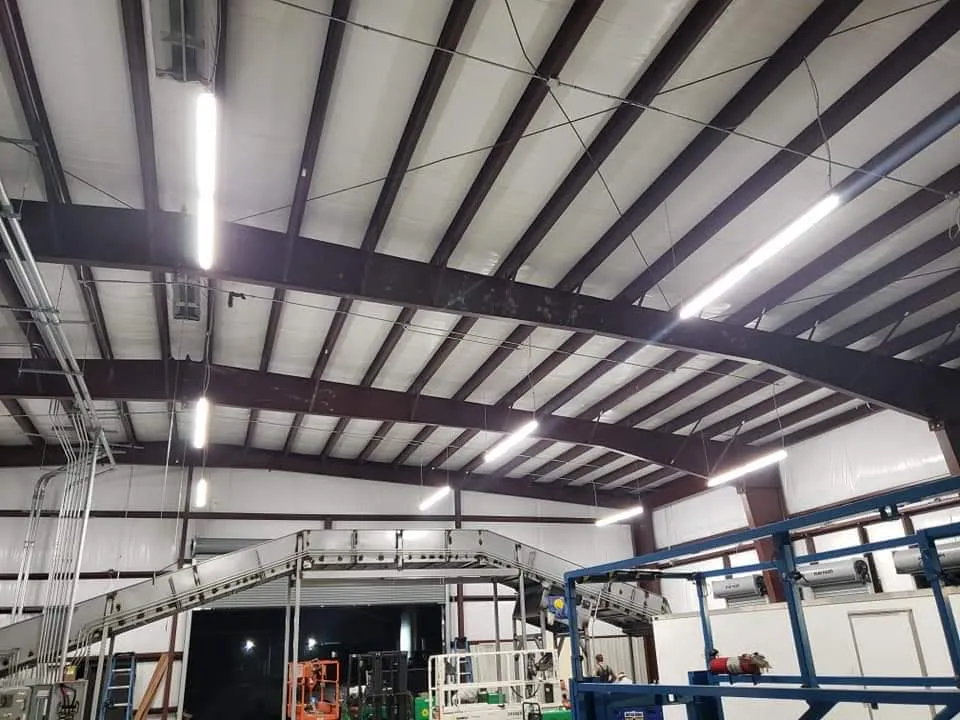 Linear shop lights hung from the steel structure of a commercial building